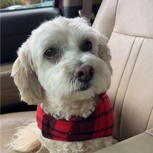 Meet your Posher, Brea